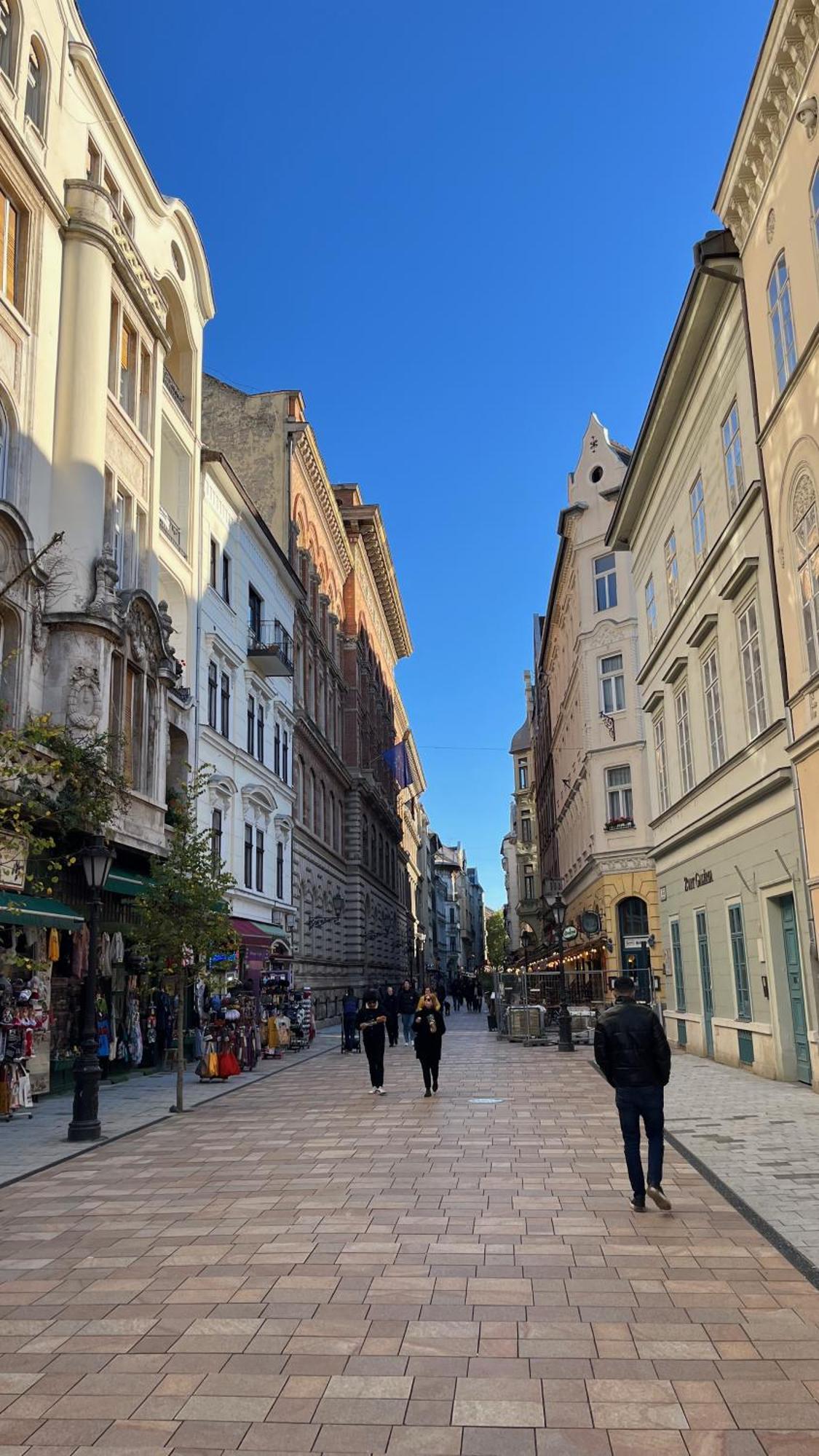 Mirage Apartments Vaci Street Budapeszt Zewnętrze zdjęcie